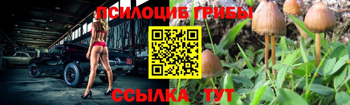 Галлюциногенные грибы MAGIC MUSHROOMS  Вход с VPN  дарнет шоп  Нижний Тагил 